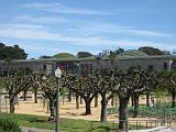 Golden Gate Park 19